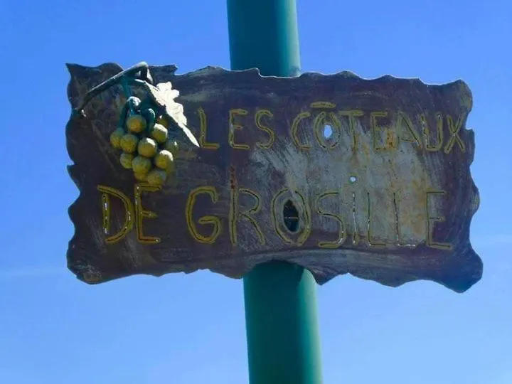 La Bastide De Grosille Bed & Breakfast Savasse