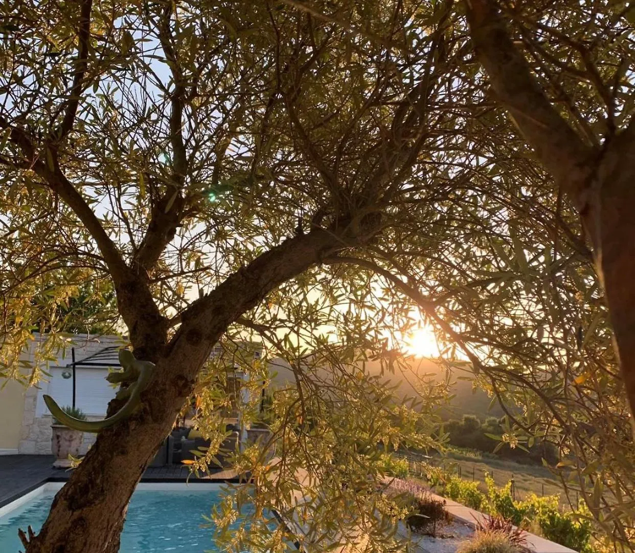 La Bastide De Grosille Bed & Breakfast Savasse France