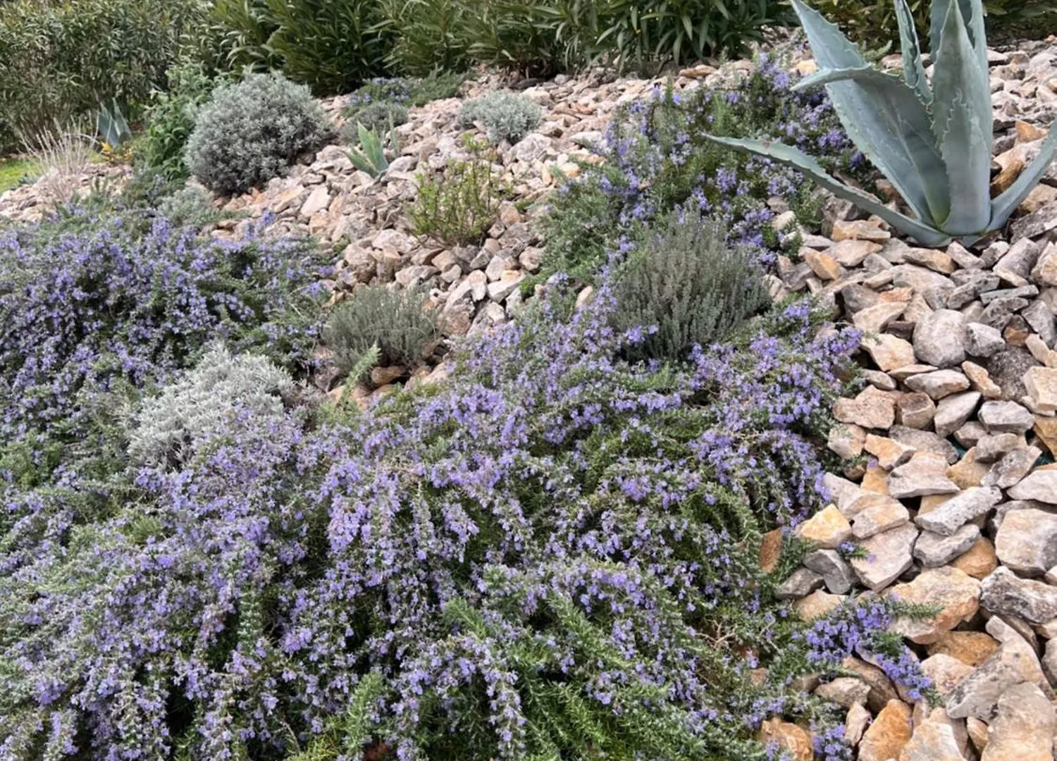 La Bastide De Grosille Bed & Breakfast Savasse