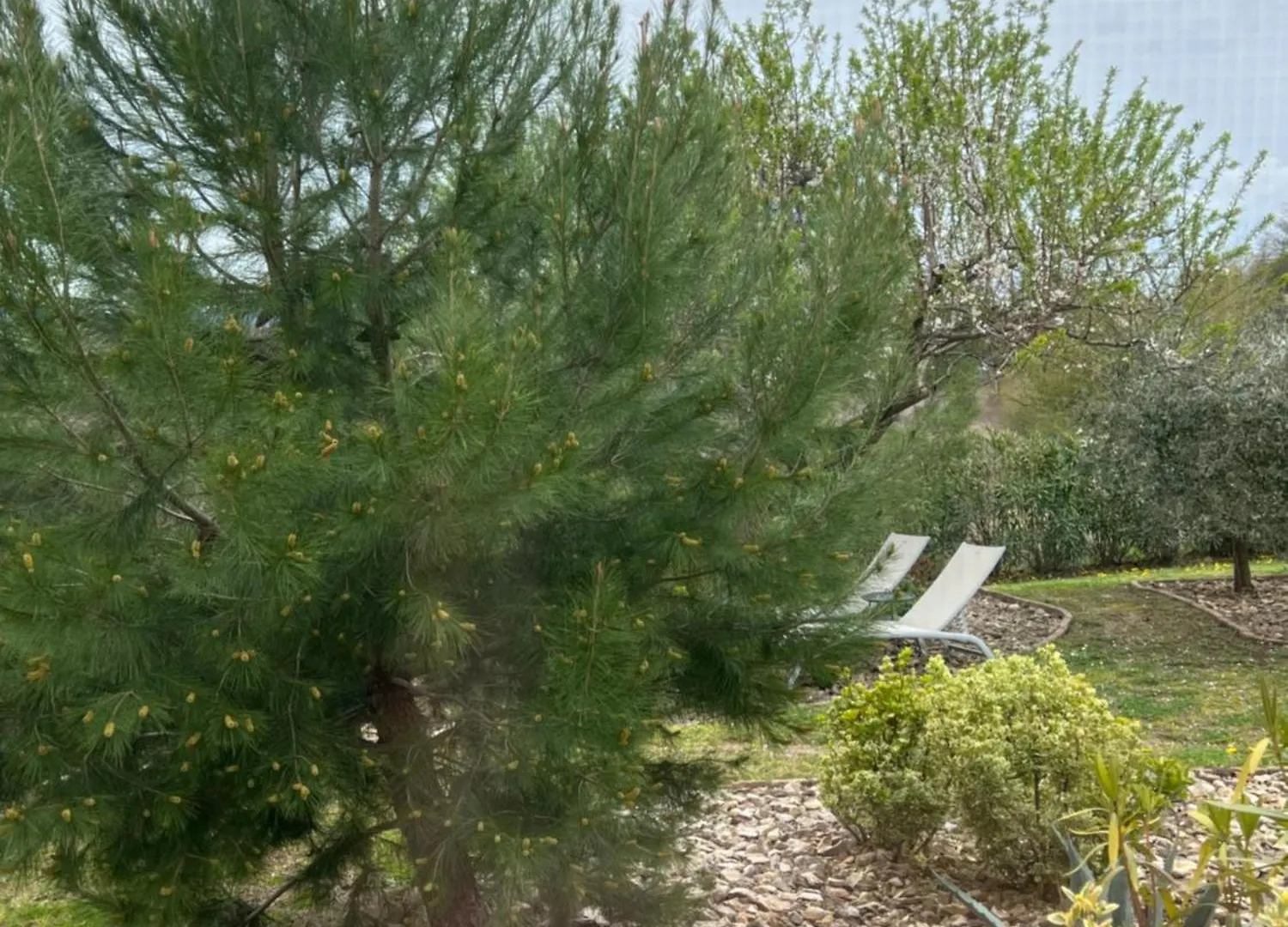 La Bastide De Grosille Bed & Breakfast Savasse