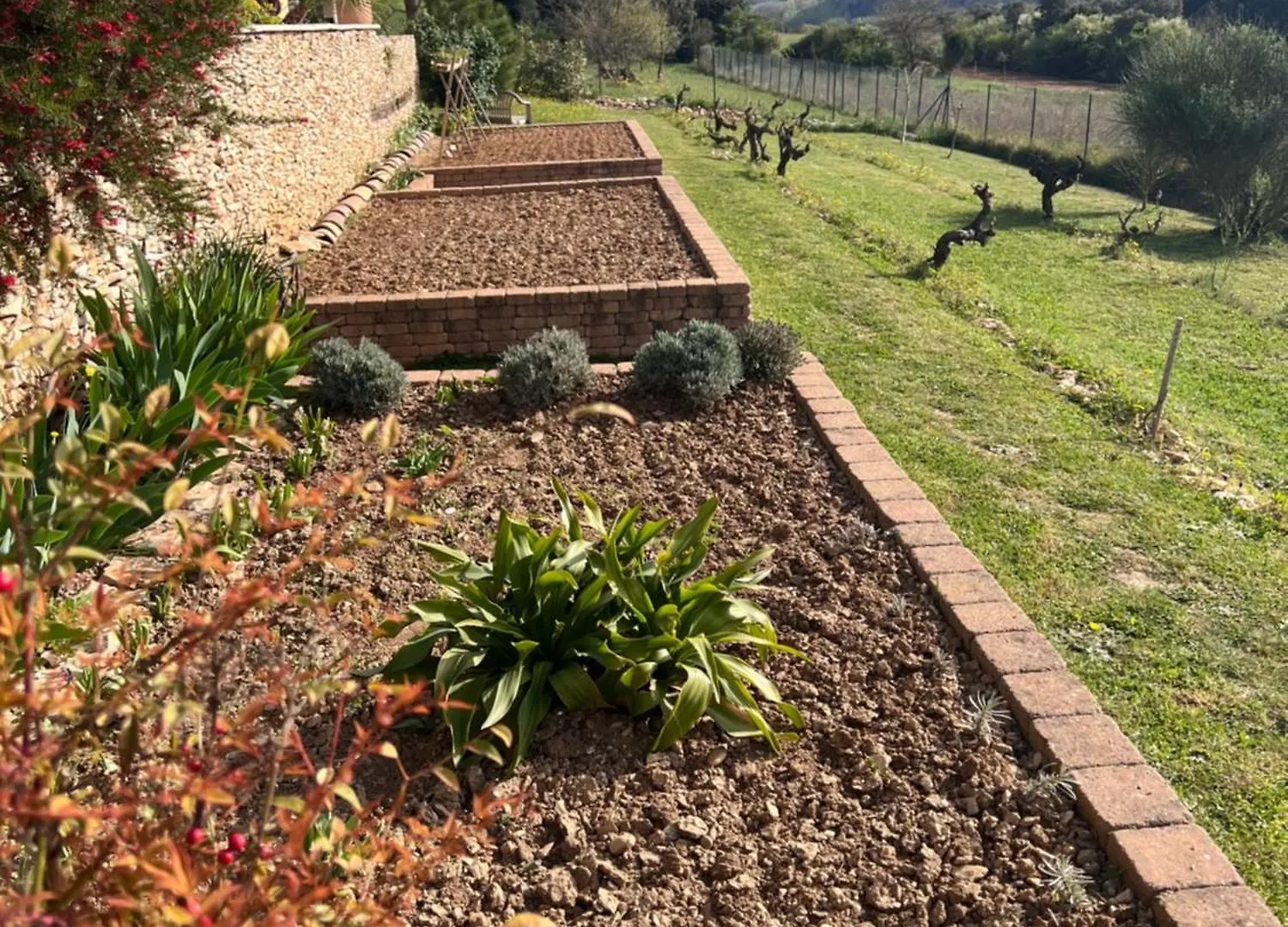 La Bastide De Grosille Bed & Breakfast Savasse 0*,  France