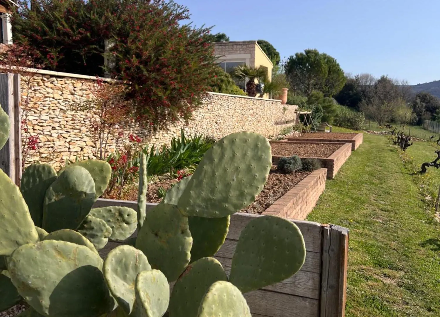 La Bastide De Grosille Bed & Breakfast Savasse 0*,  France