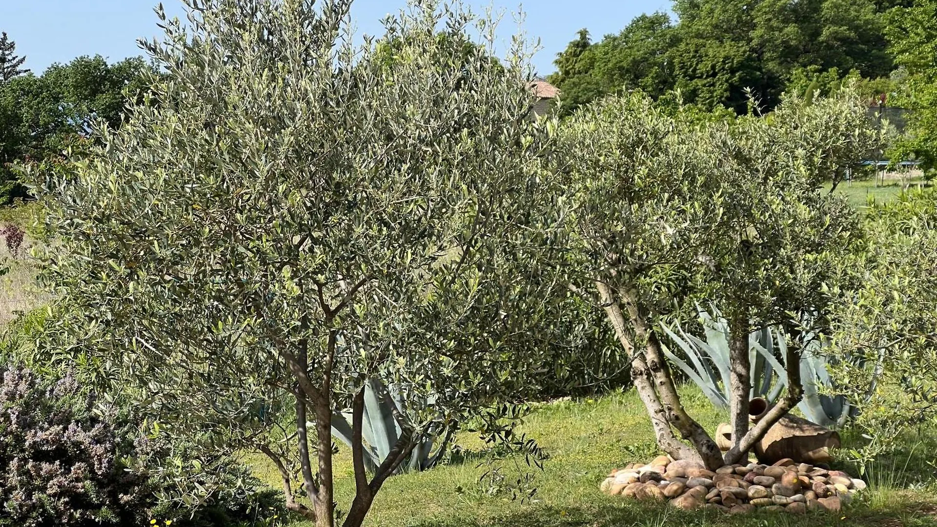 La Bastide De Grosille Bed & Breakfast Savasse