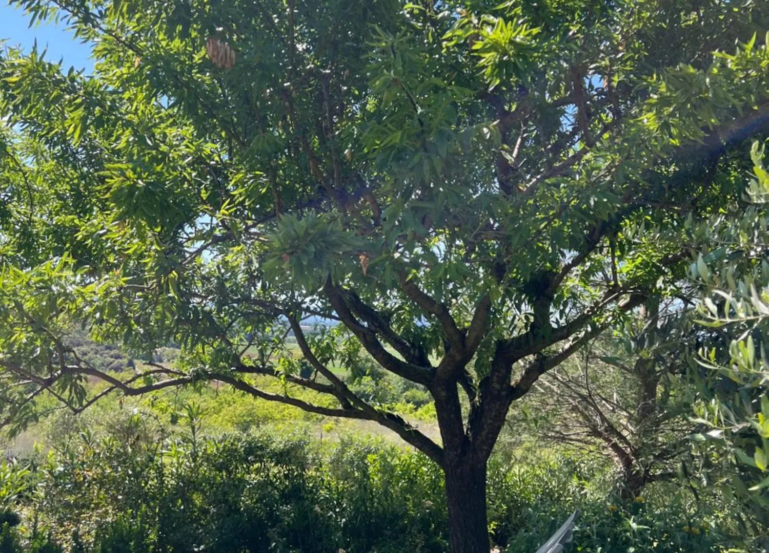 La Bastide De Grosille Bed & Breakfast Savasse