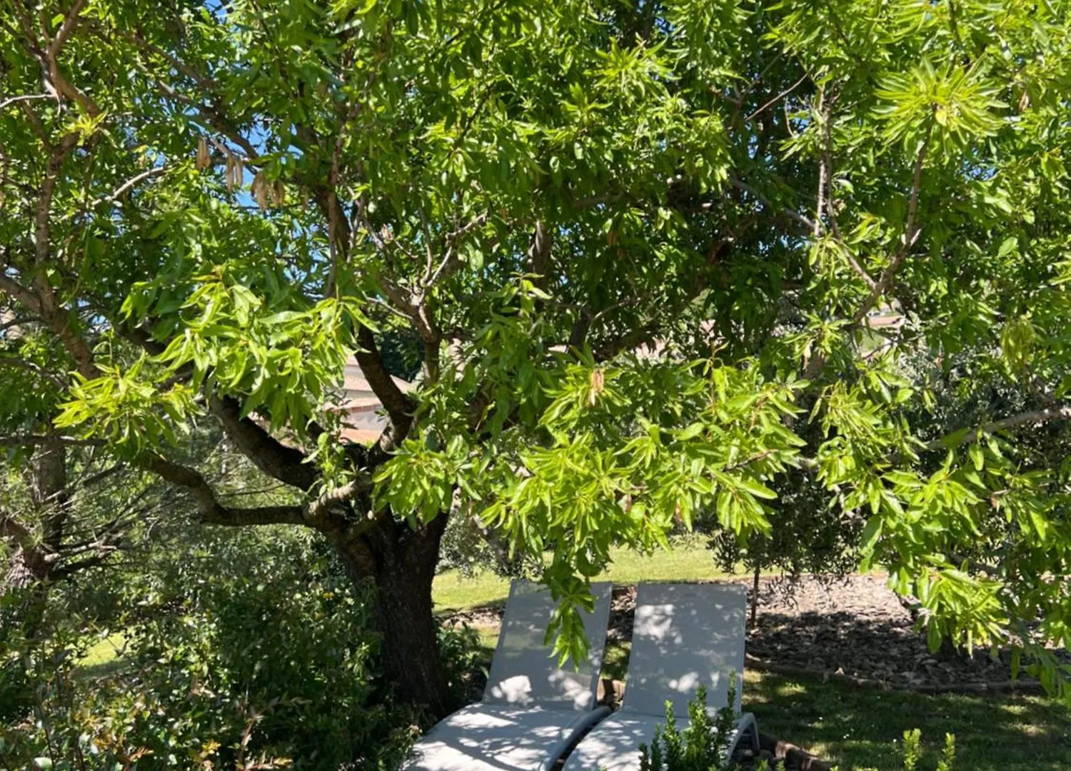 La Bastide De Grosille Bed & Breakfast Savasse